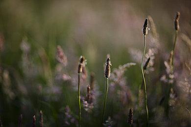 《暗黑4》下次开发者直播4月到来 讨论终局内容